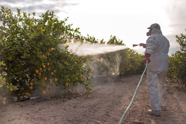 Best Residential Pest Control  in Pawcatuck, CT