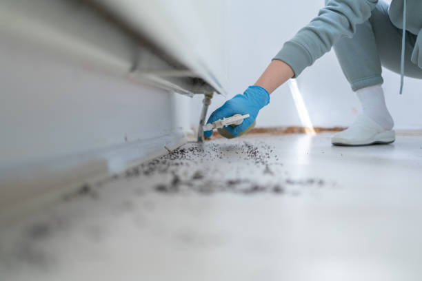 Best Pest Inspection Near Me  in Pawcatuck, CT