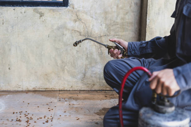 Best Best Pest Control Companies  in Pawcatuck, CT