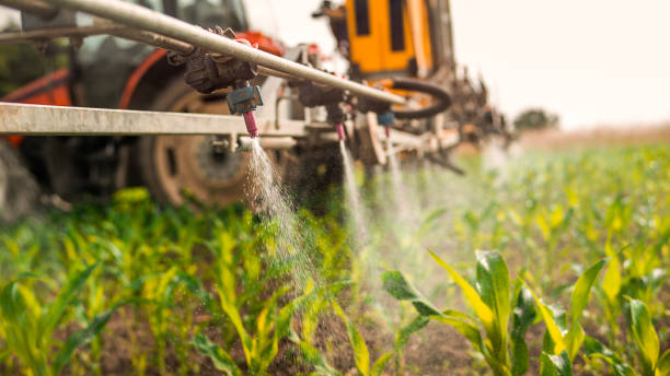 Best Mosquito Control Services  in Pawcatuck, CT